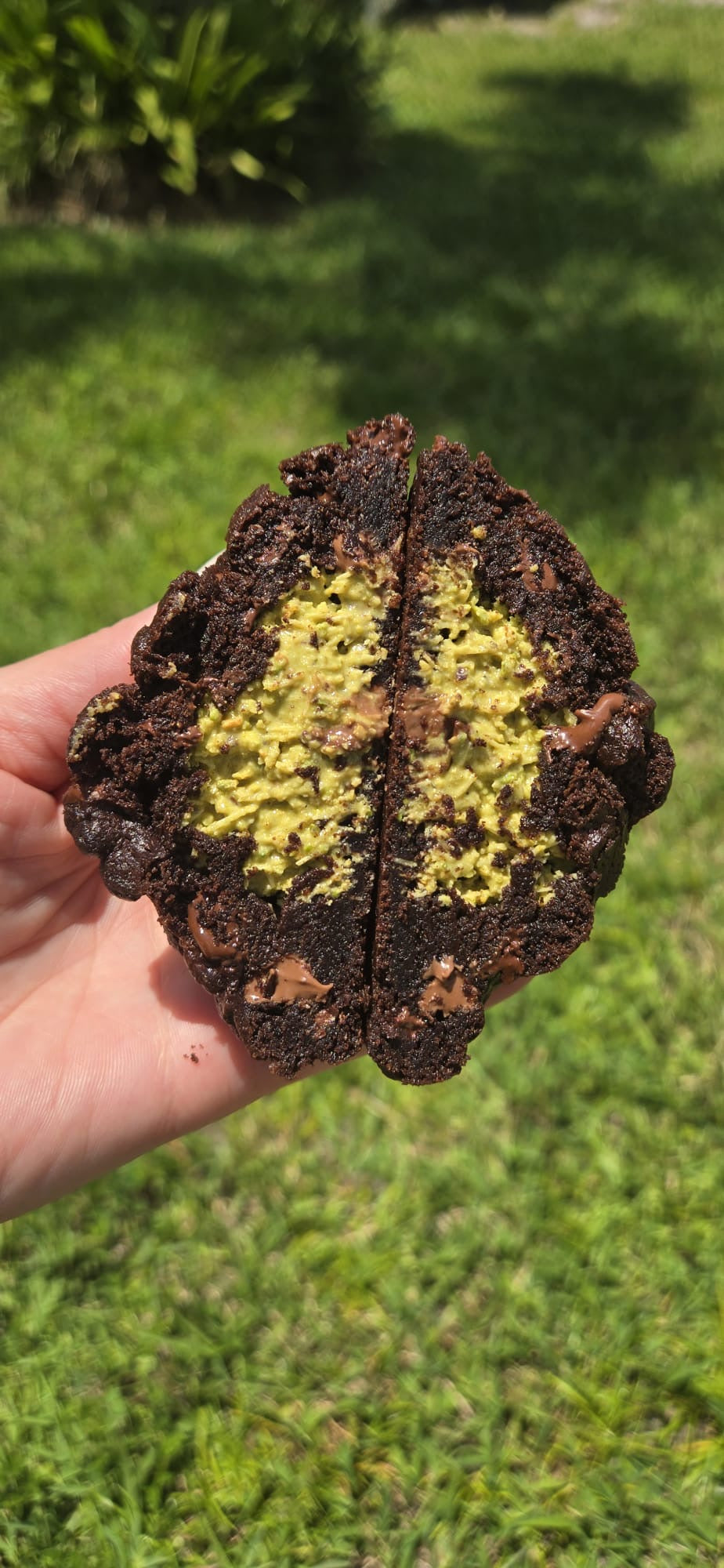 Dubai Pistachio