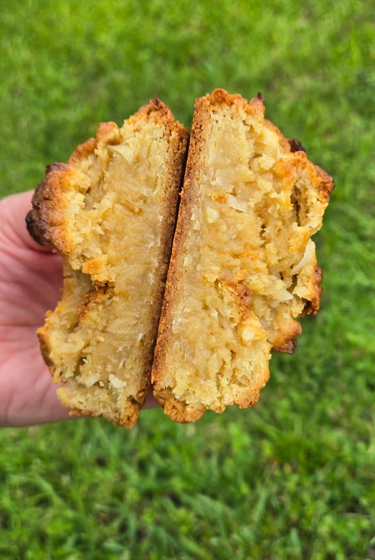 Coconut Paradise